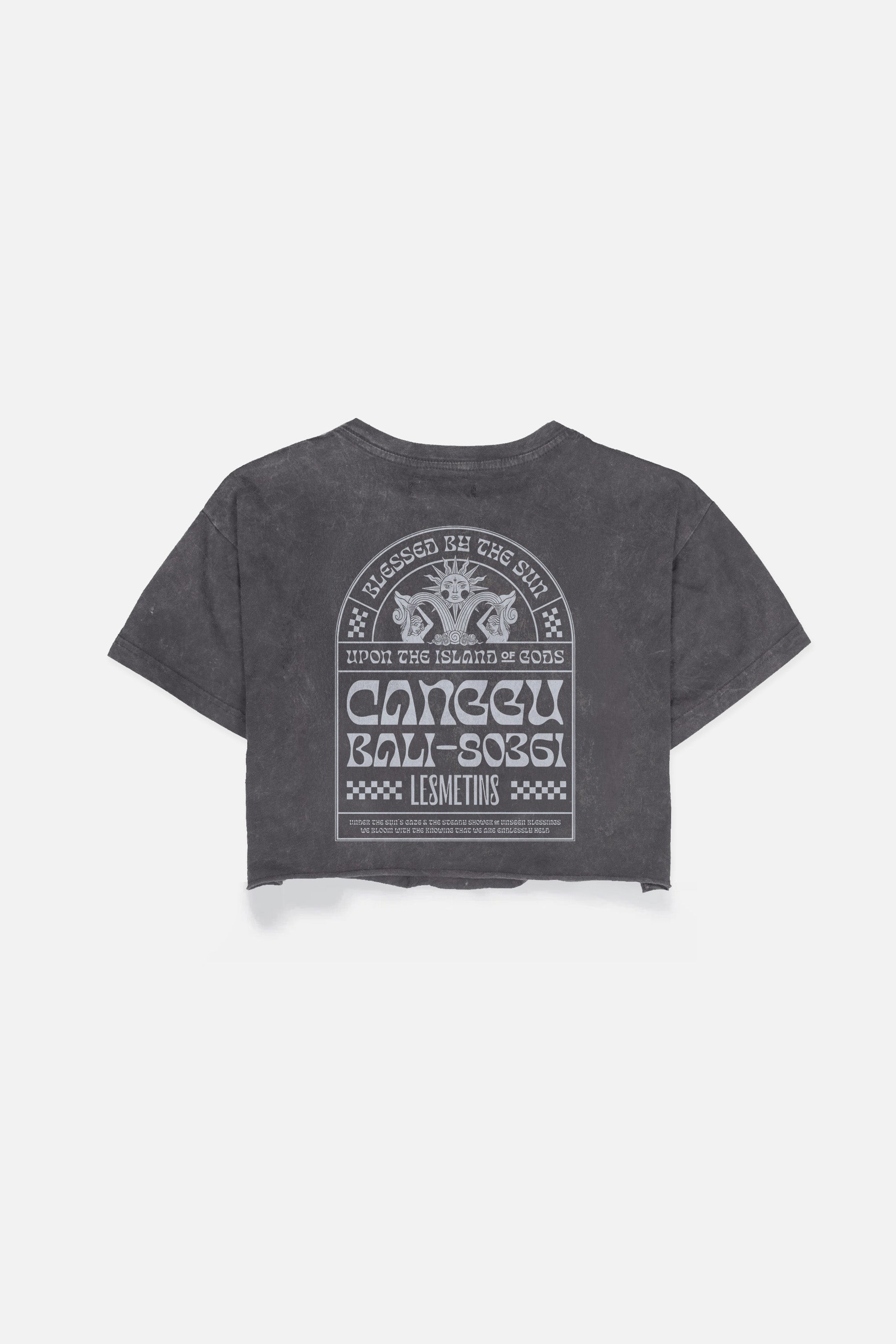 AMERTHA Charcoal Wash Regular-Fit Crop Top