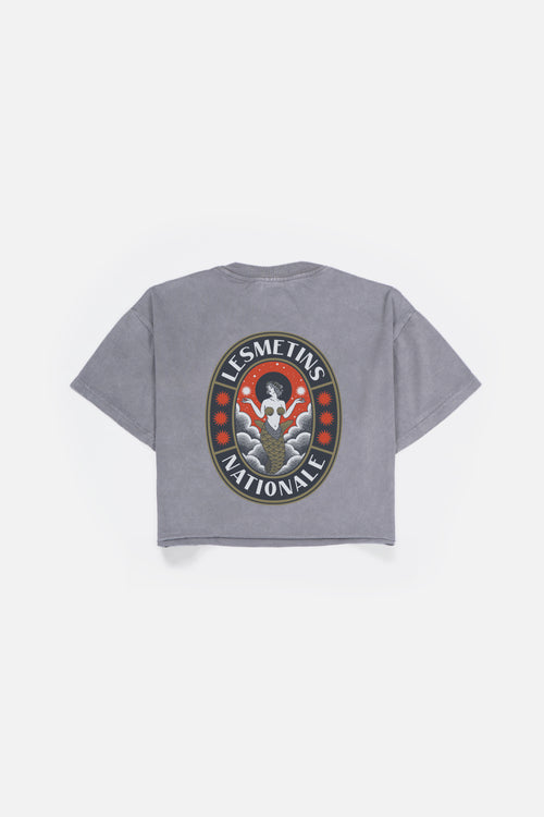 ARIEL Grey Wash Regular-Fit Crop Top