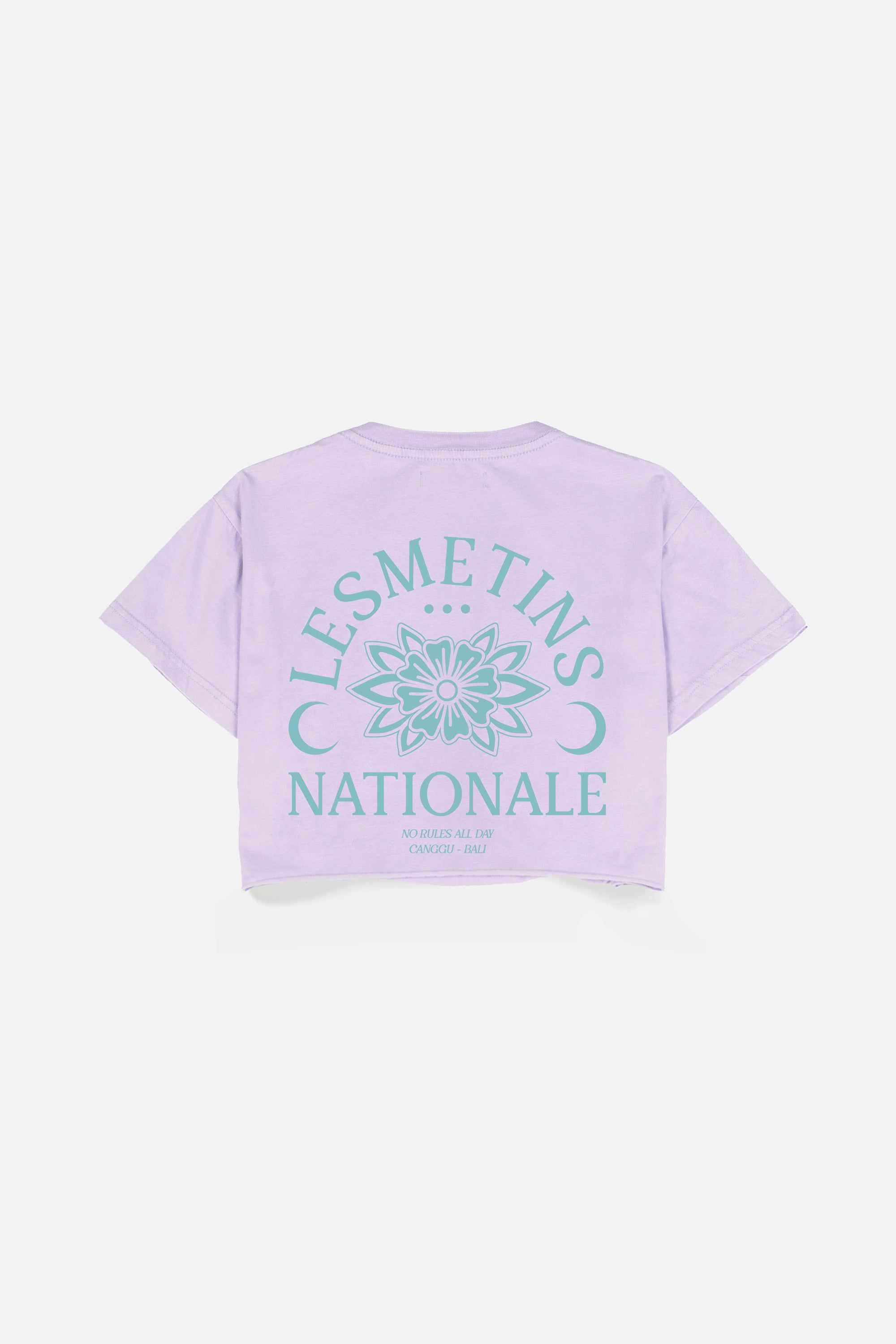 RONIN Lilac Wash Regular-Fit Crop Top