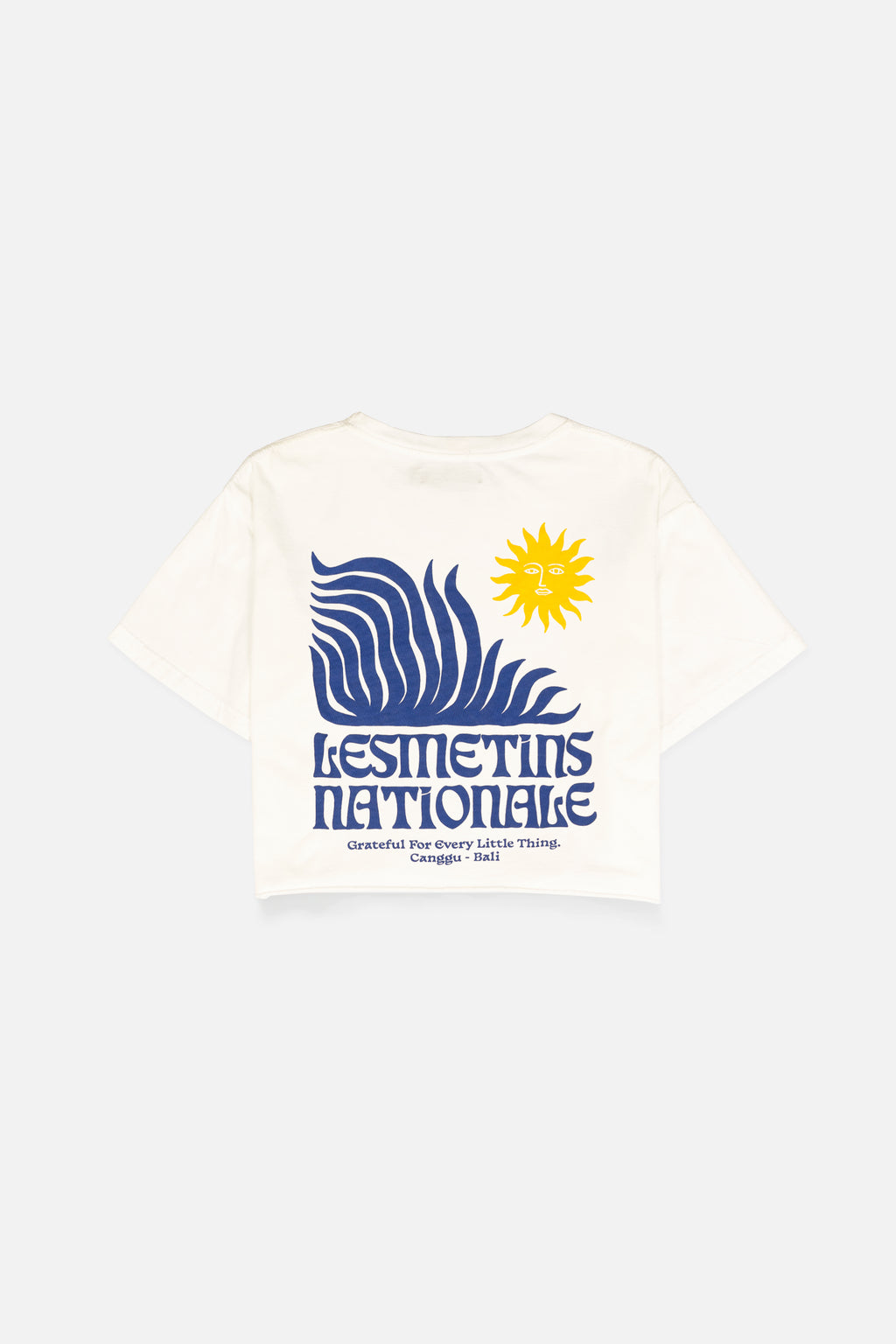 SENA Off White Wash Regular-Fit Crop Top