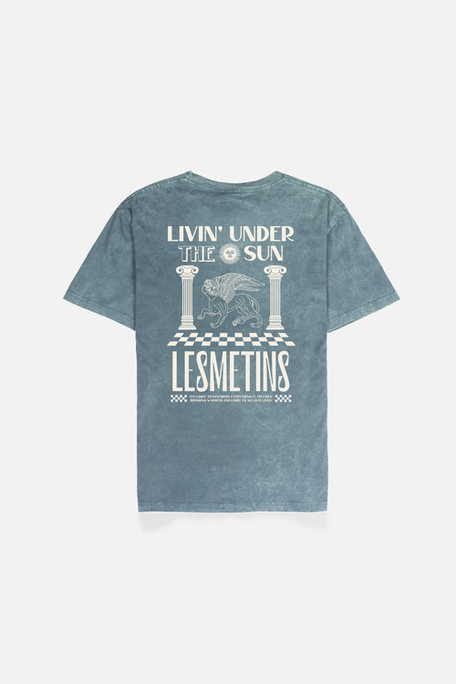 AQUILLA Green Bottle Wash Relaxed-Fit Tee
