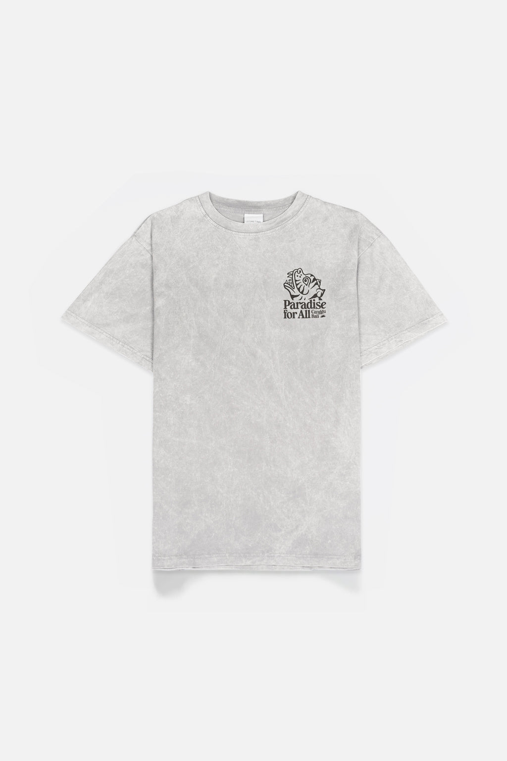 TIGRE Grey Wash Relaxed-Fit Tee