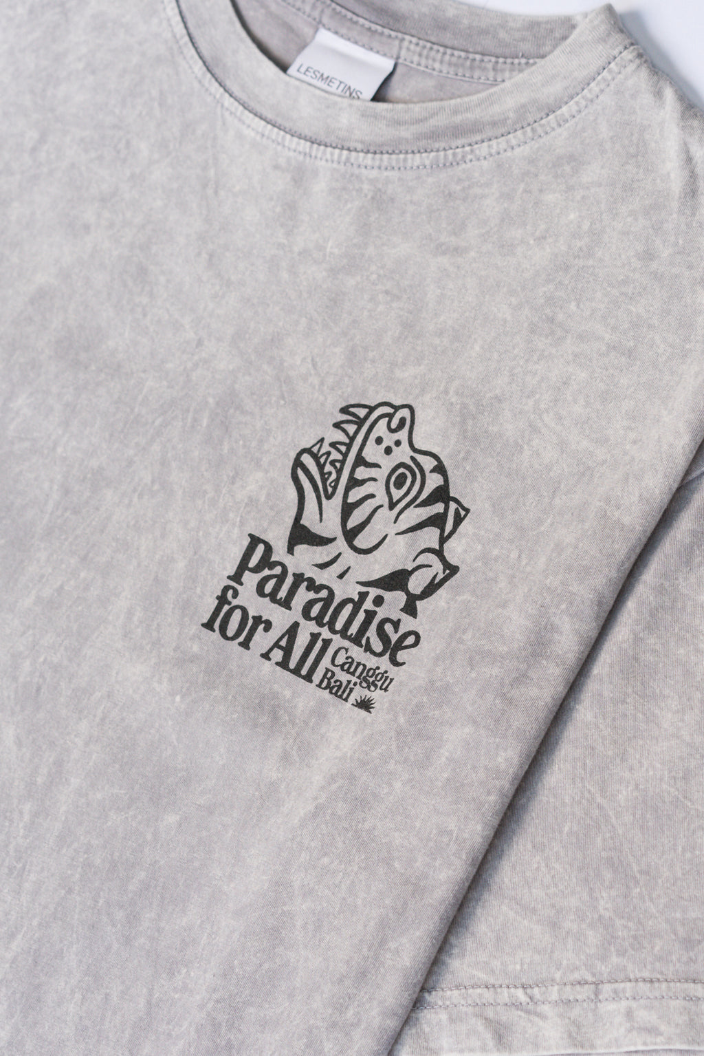 TIGRE Grey Wash Relaxed-Fit Tee