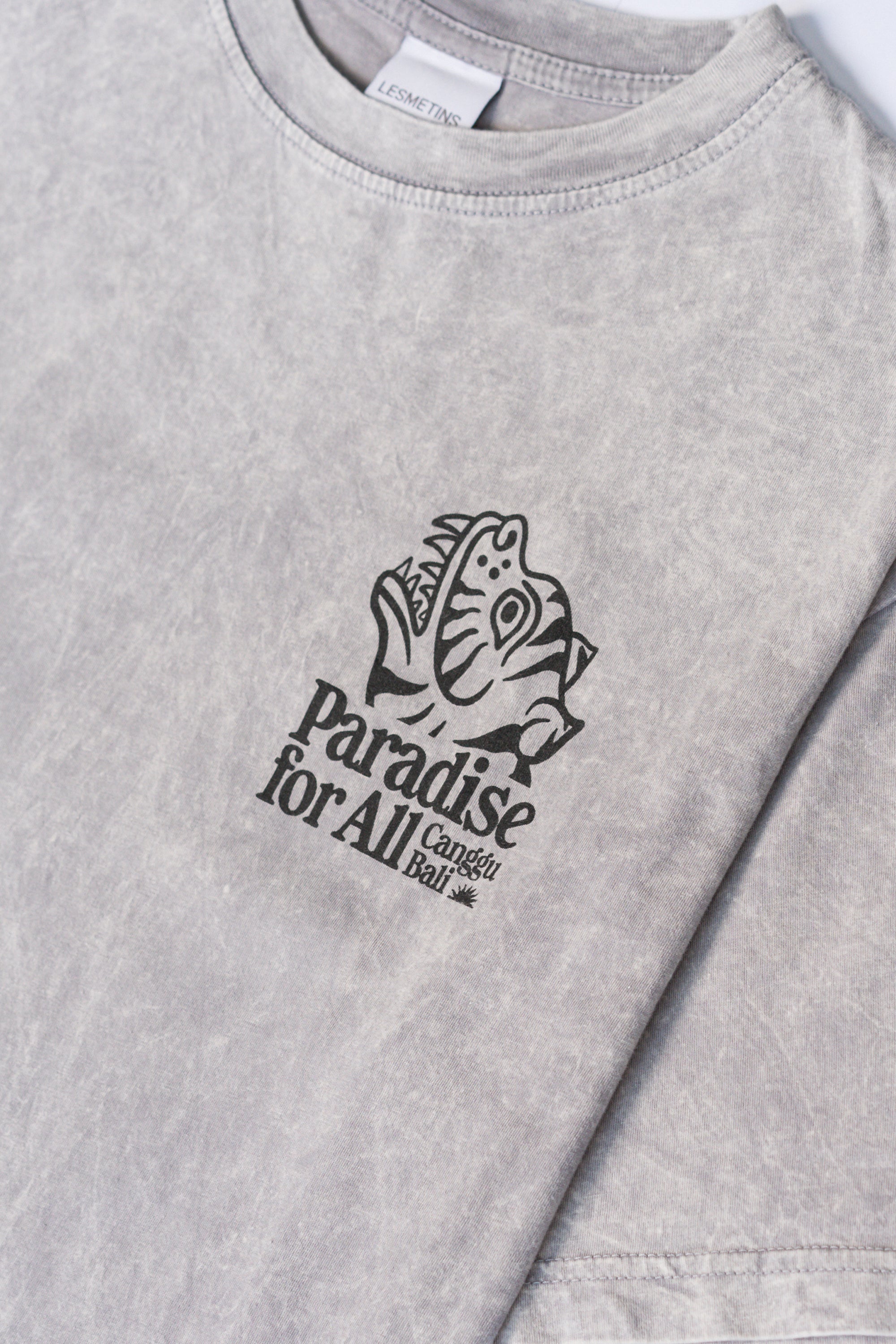 TIGRE Grey Wash Relaxed-Fit Tee