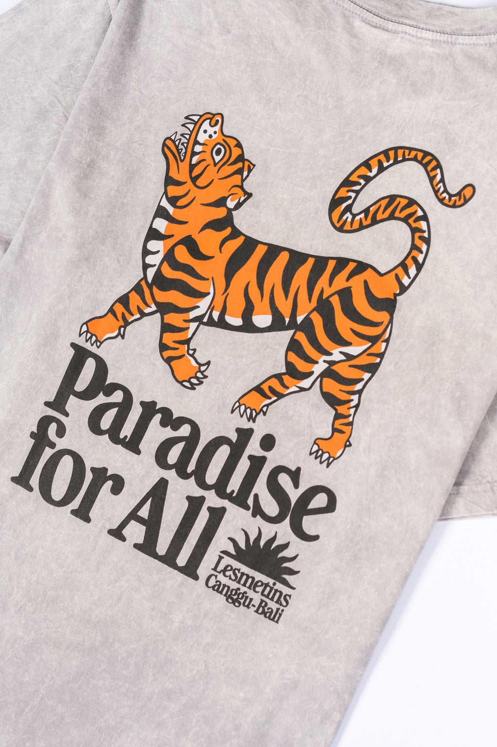 TIGRE Grey Wash Relaxed-Fit Tee