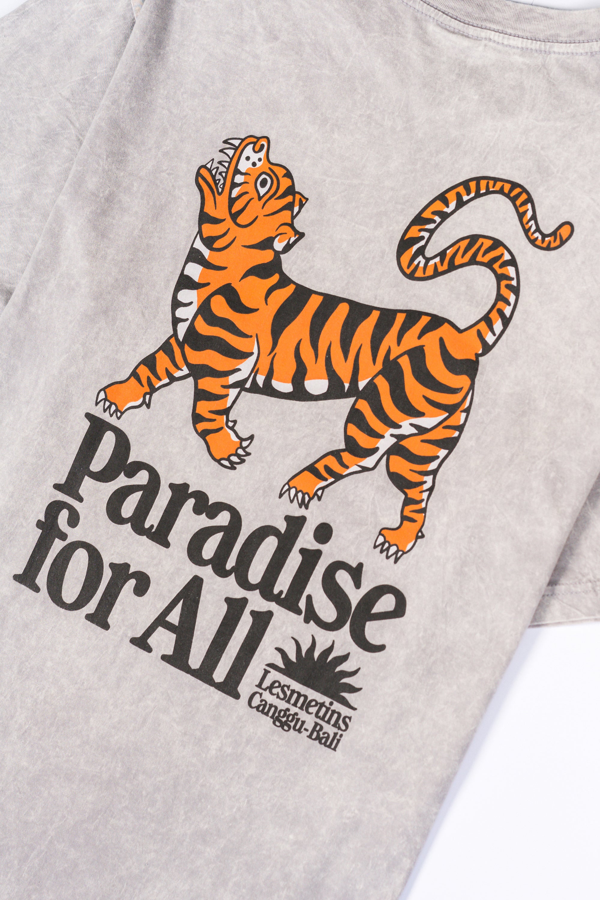 TIGRE Grey Wash Relaxed-Fit Tee